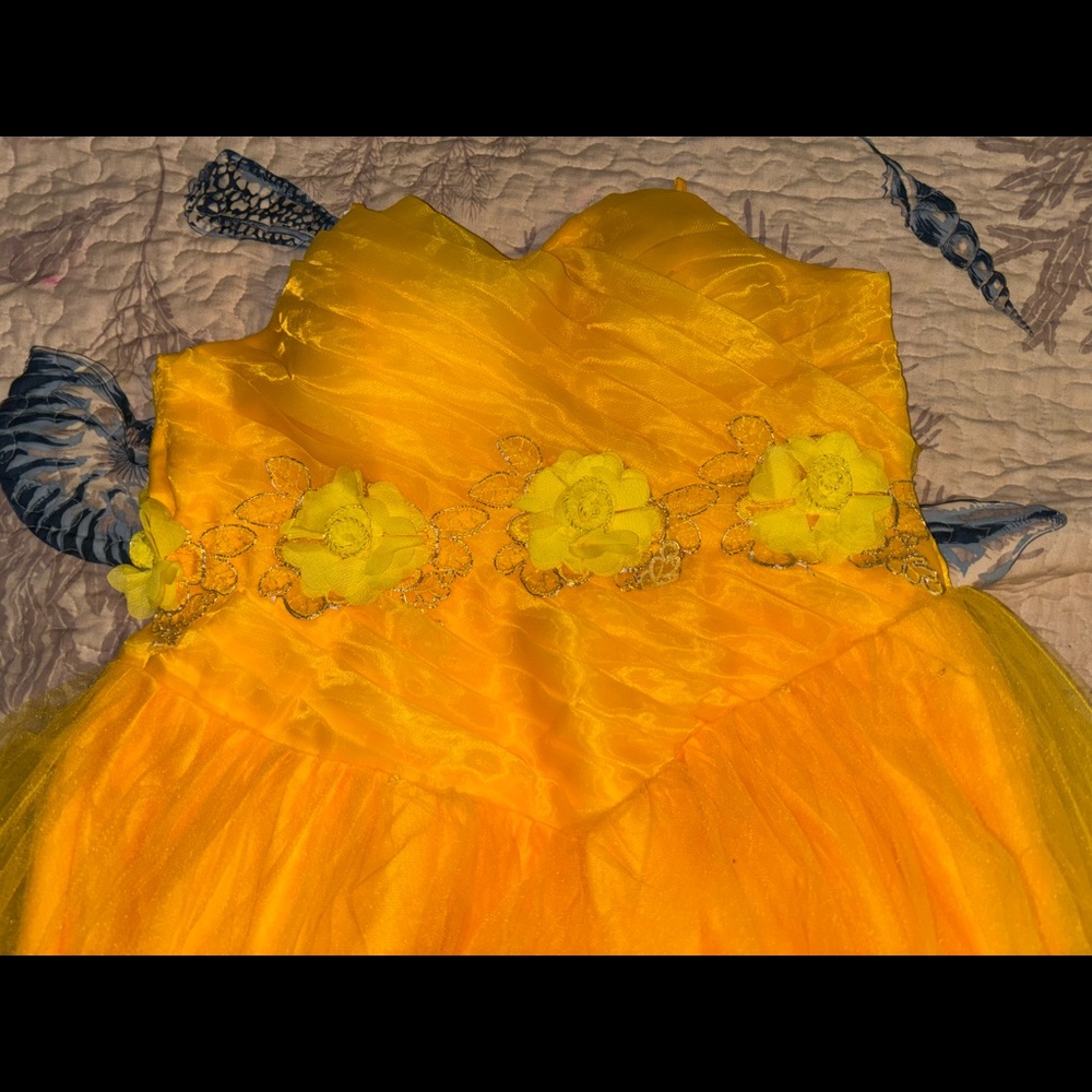 ellow belle dress with flowers
the pictures with lighter yellow is actual color